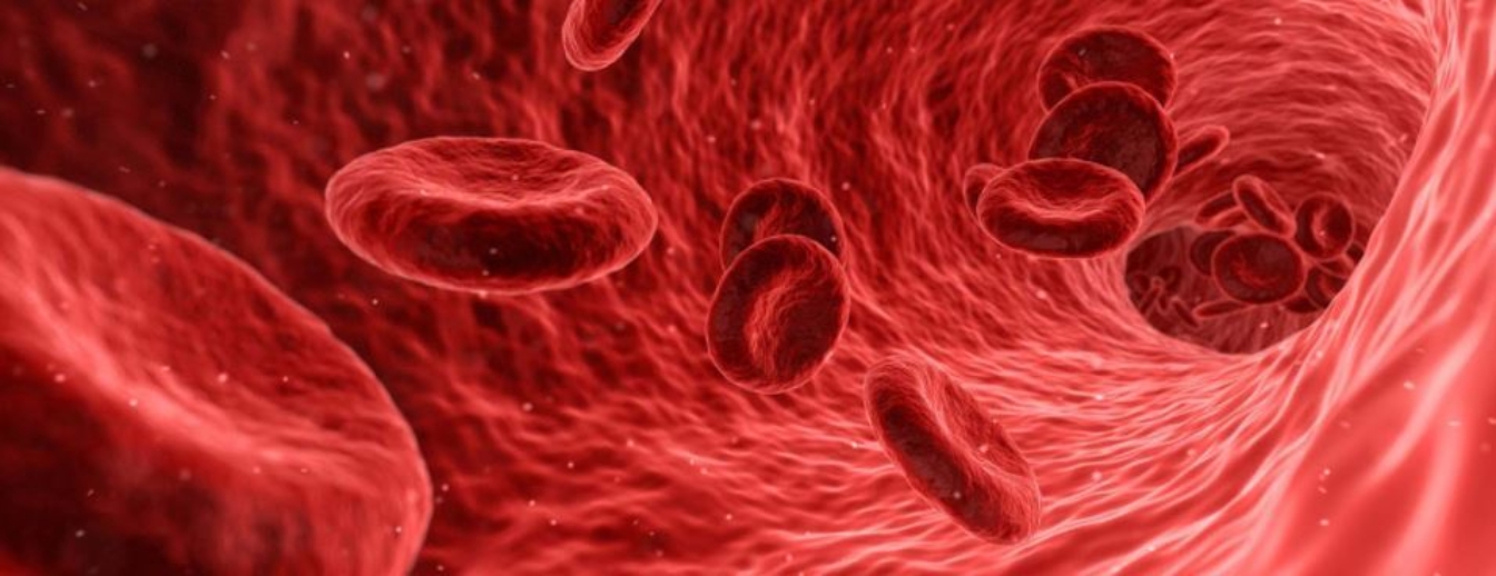Microcircolazione