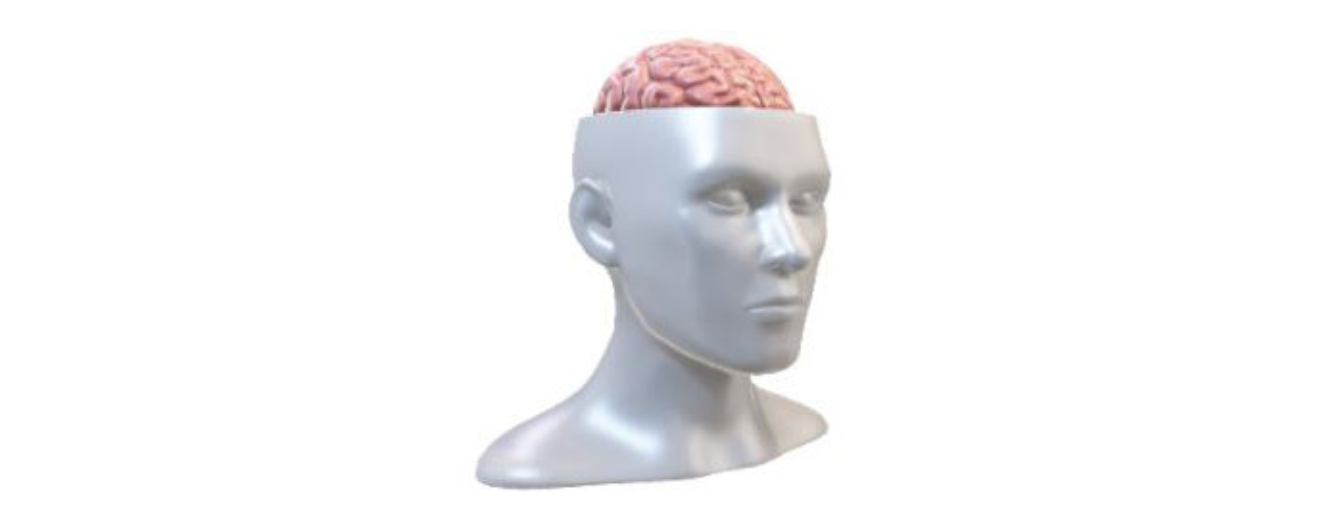 Effetto neurofisiologico