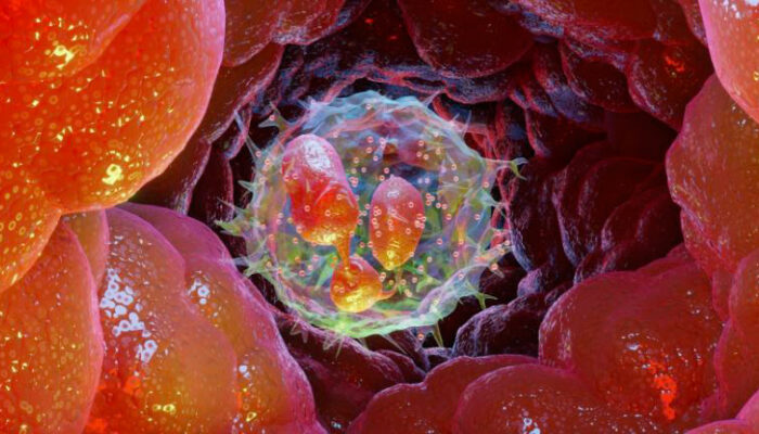Curare infiammazione con fisioterapia