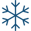 Icons8 winter 100